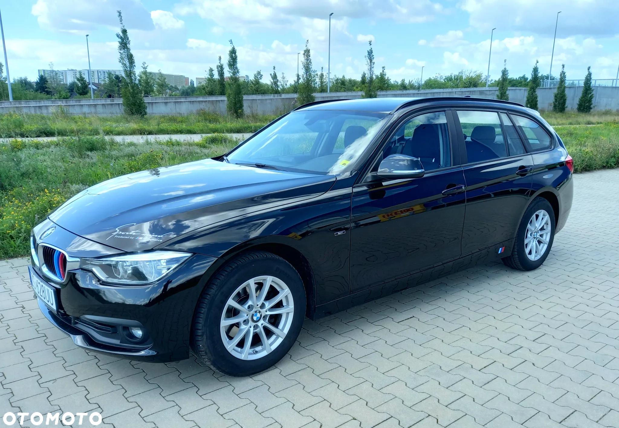 BMW Seria 3 316d M Sport - 36