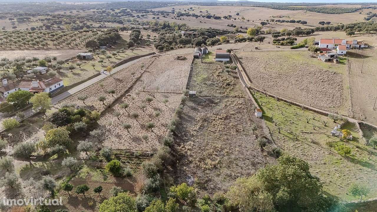 Investimentos  para arrendamento - Grande imagem: 5/5