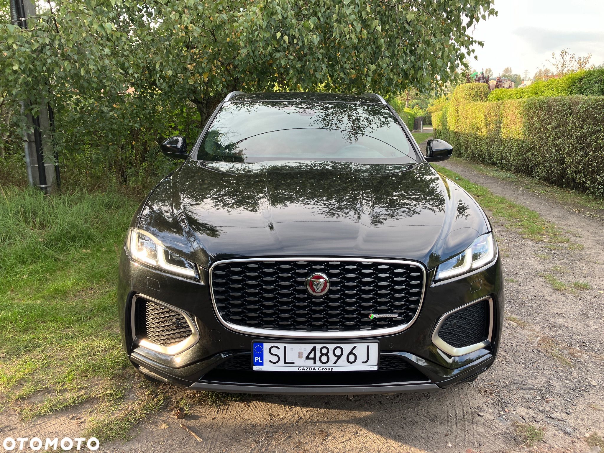 Jaguar F-Pace D200 AWD R-Dynamic SE 90th Anniversary Edition - 1
