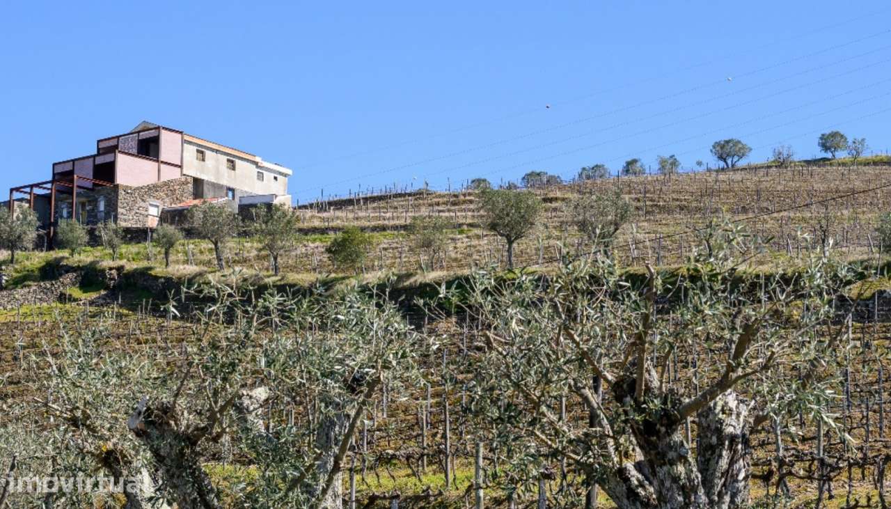 Quinta vínicola à venda no Peso da Régua no Douro Valley - Grande imagem: 4/22