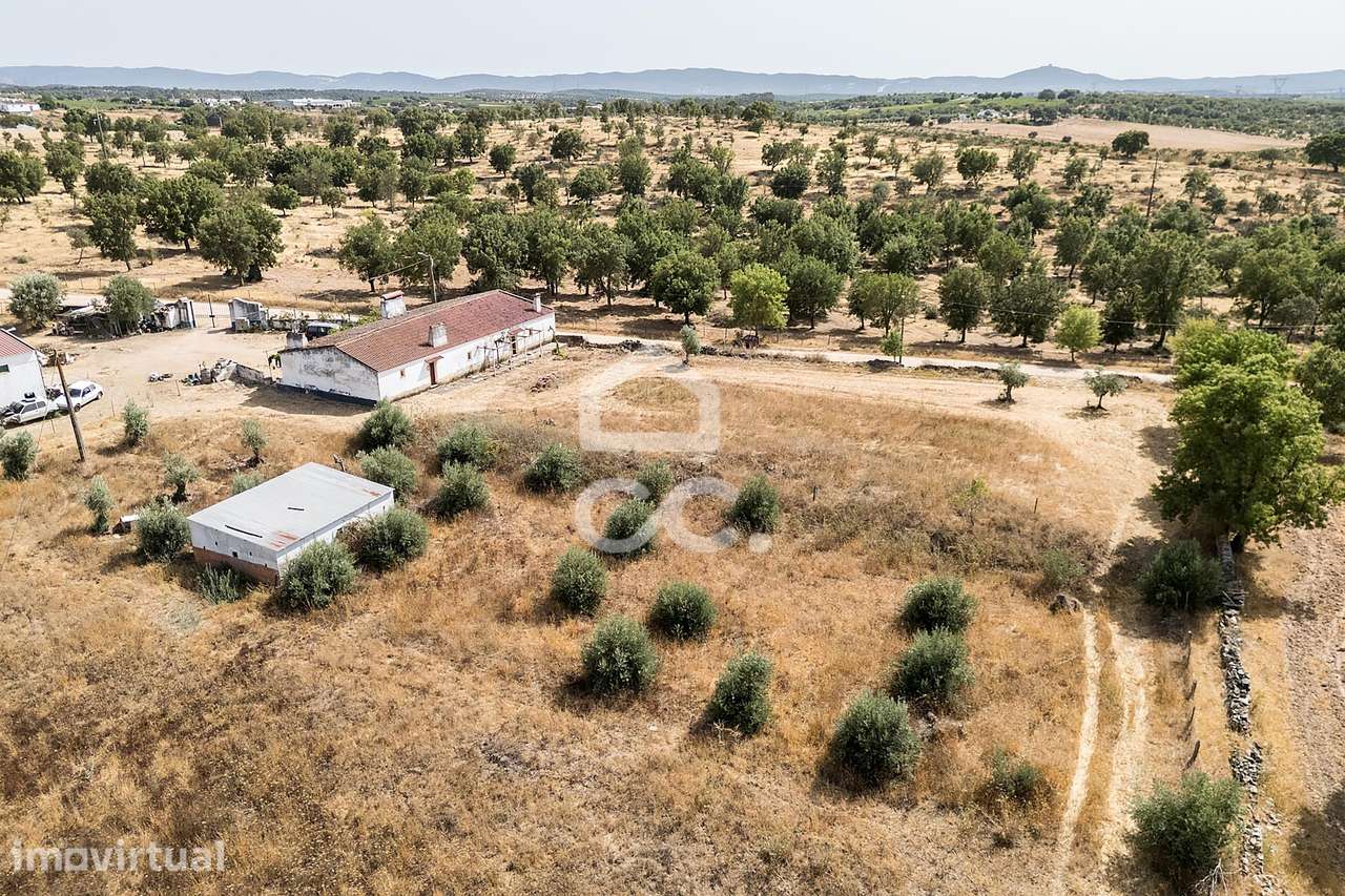Quinta de 1,4 ha c/ 2 Moradias T1 | São Bento do Ameixial, Estremoz - Grande imagem: 4/60