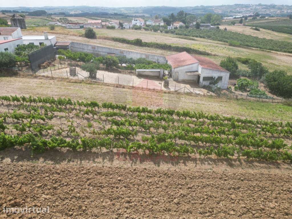 Terreno com Projeto Aprovado para Moradia T3 - Sobral do Parelhão - Grande imagem: 3/13