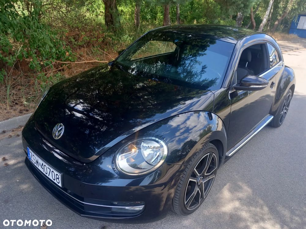 Volkswagen Beetle - 15