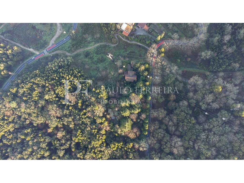Quinta na Encosta da Penha - Grande imagem: 2/36