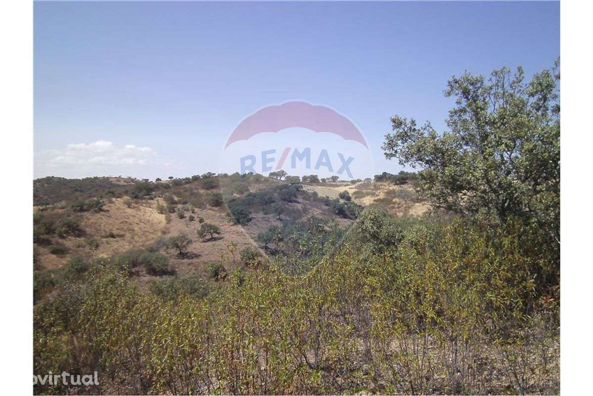 Terreno  para venda - Grande imagem: 3/5