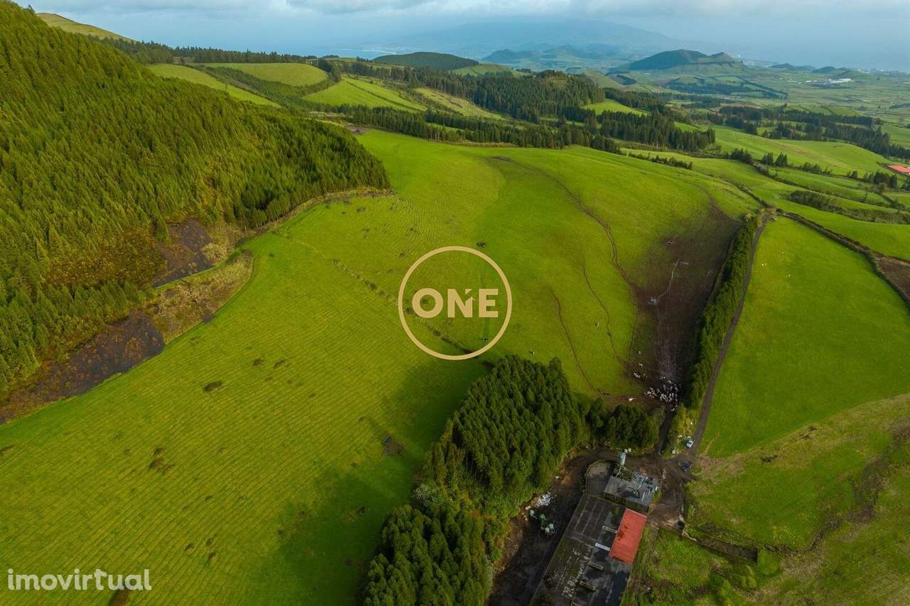 Terreno Premium na Relva - Grande imagem: 3/8