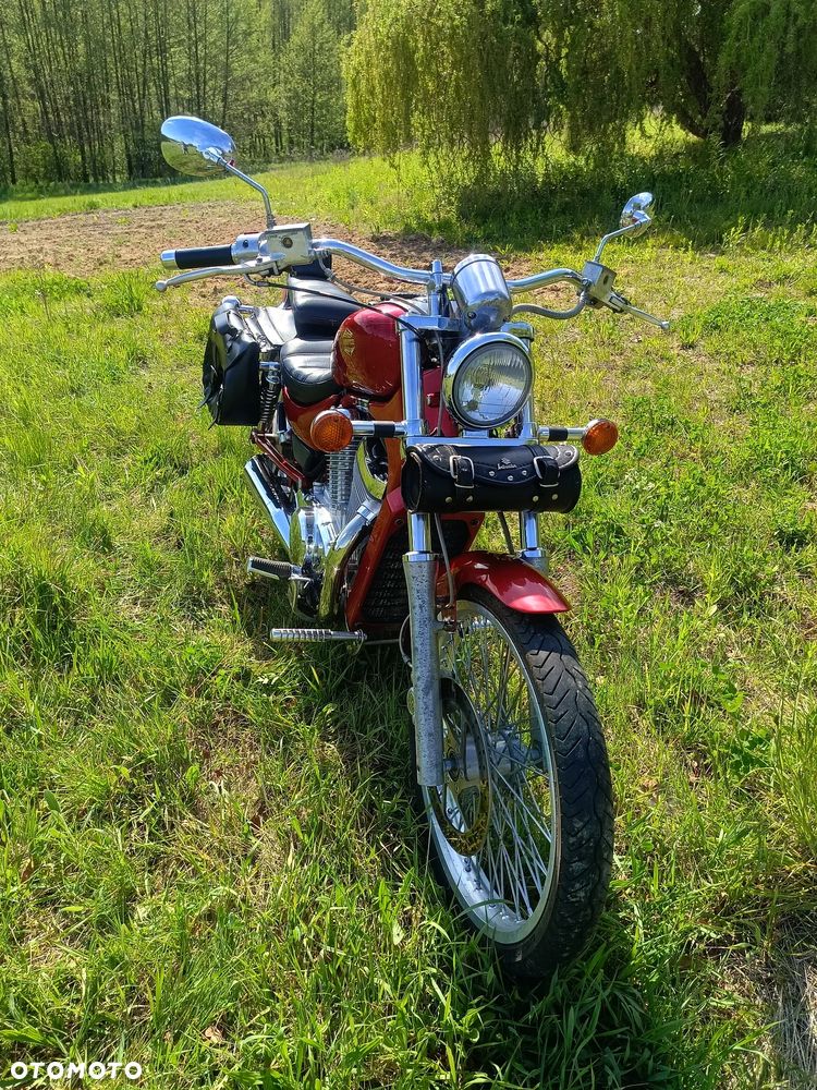 Suzuki Intruder - 4