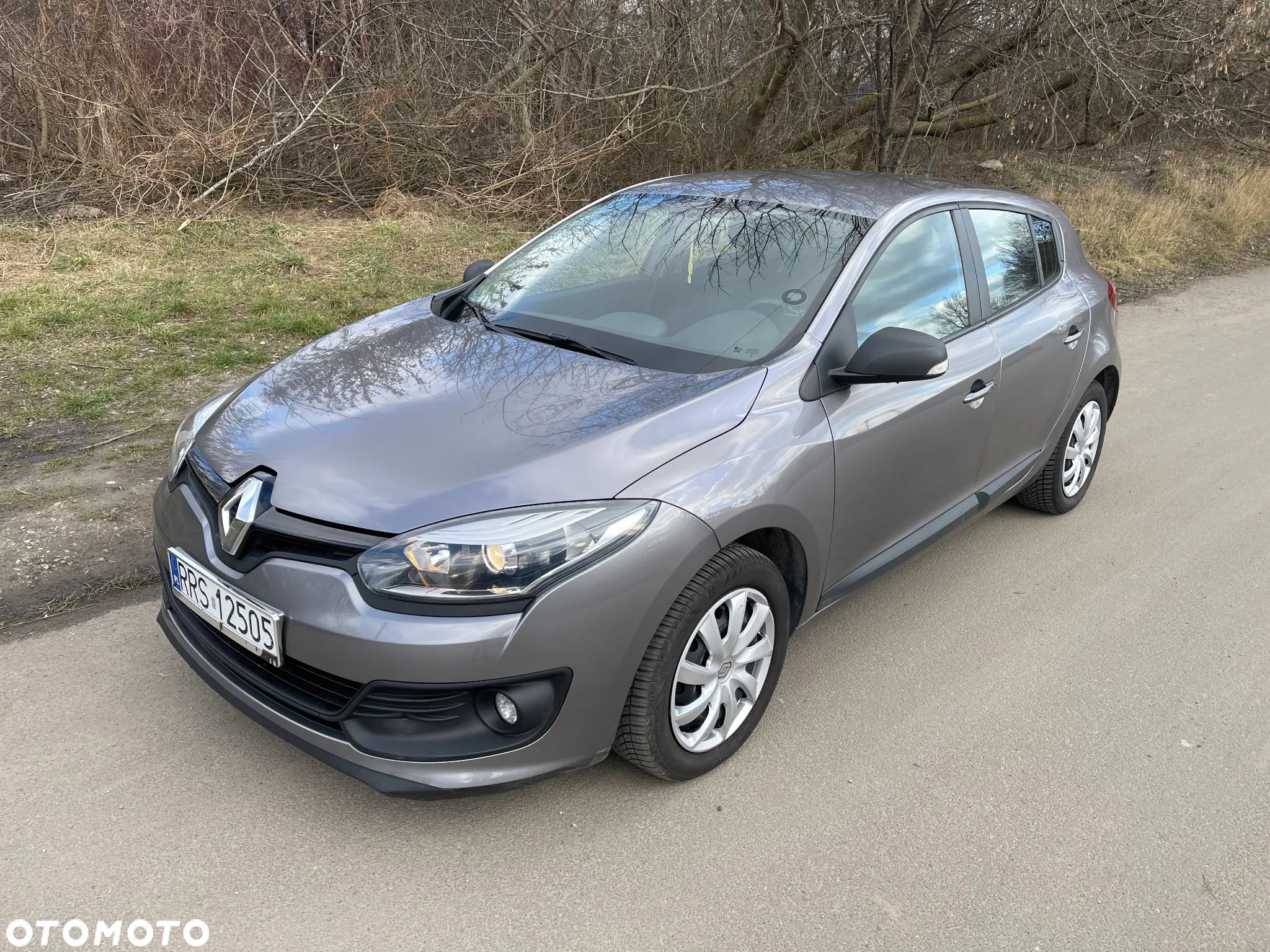 Renault Megane - 1