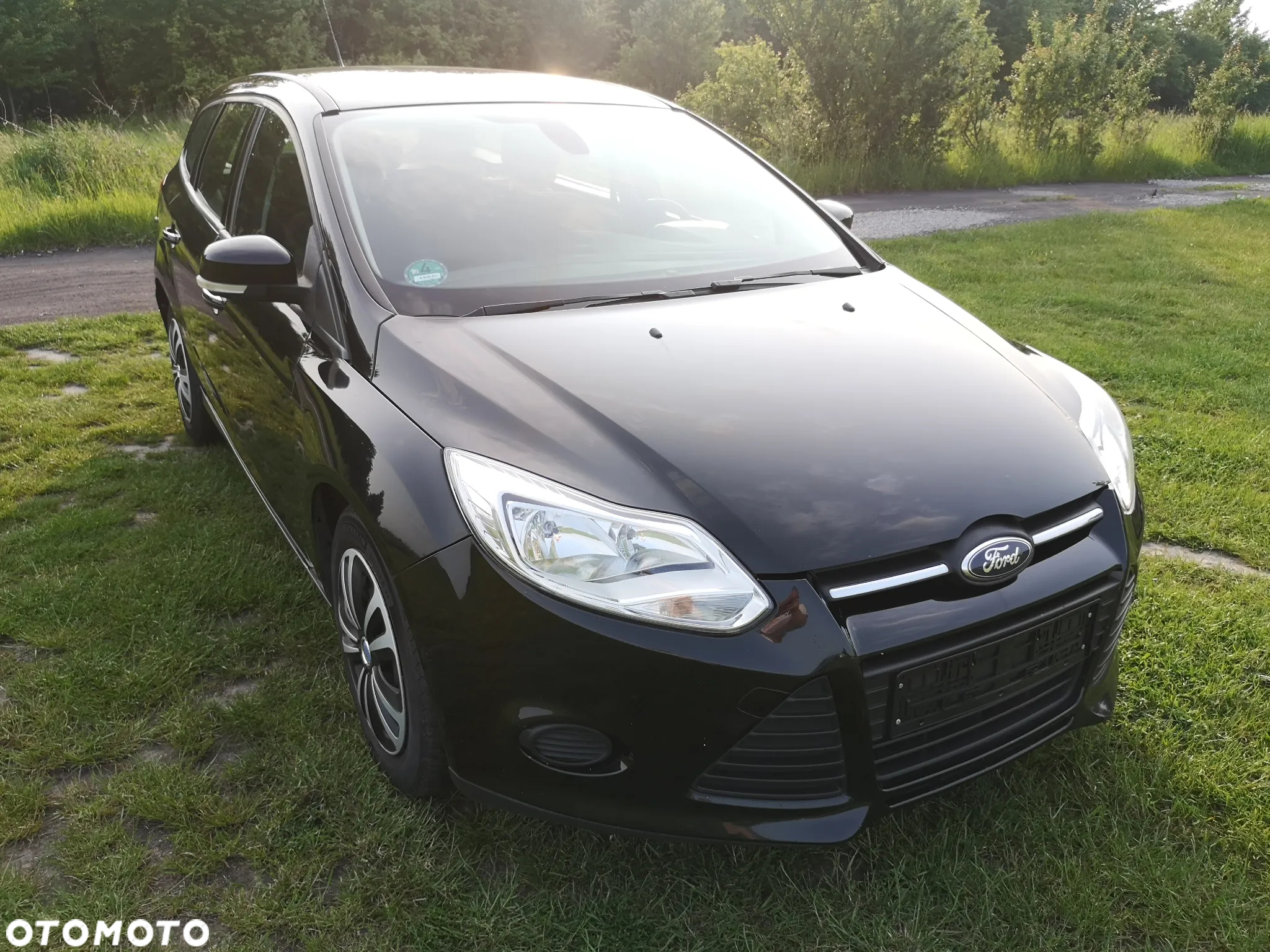 Ford Focus - 13