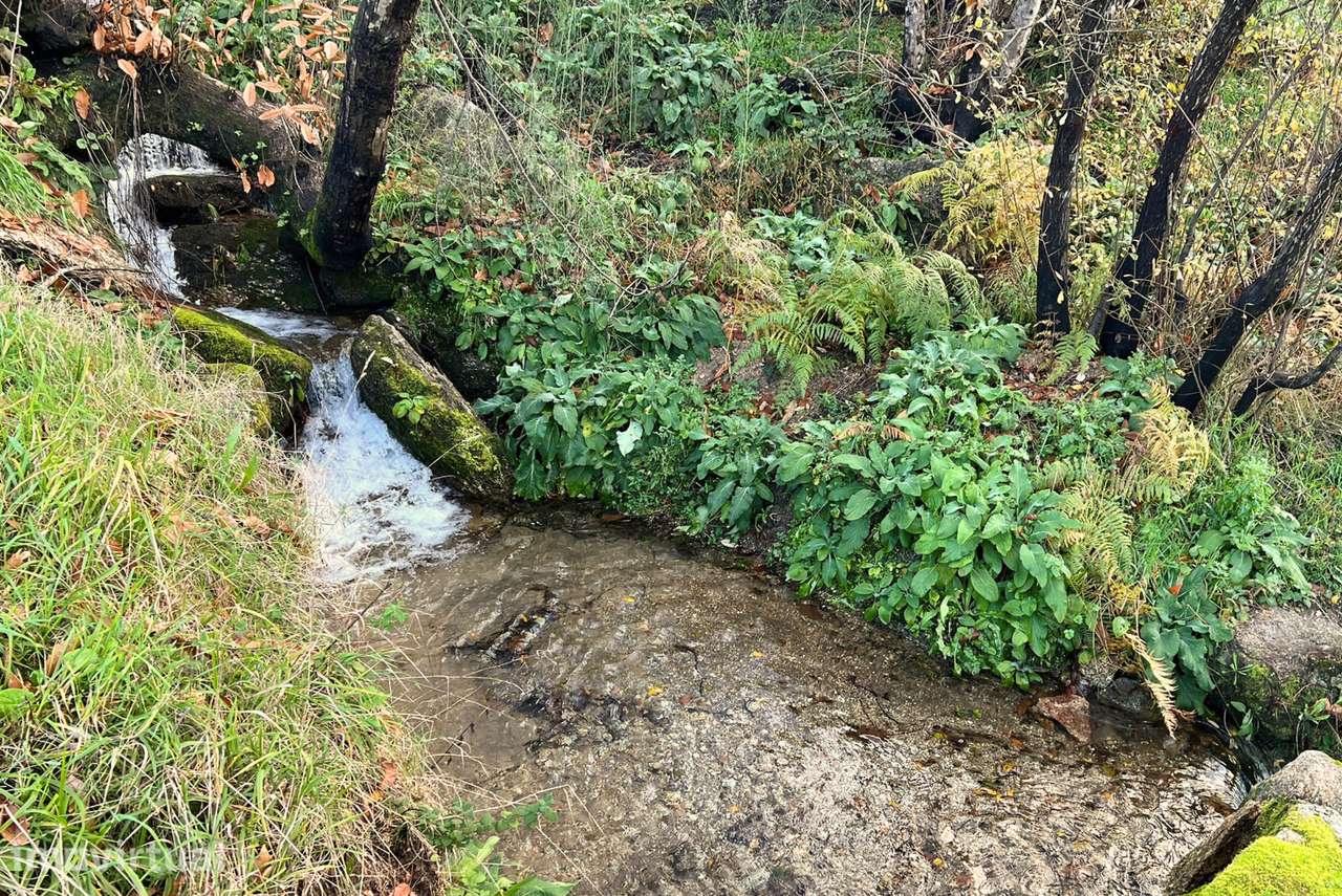 Terreno  Venda em Gouveia (São Simão),Amarante - Grande imagem: 2/11