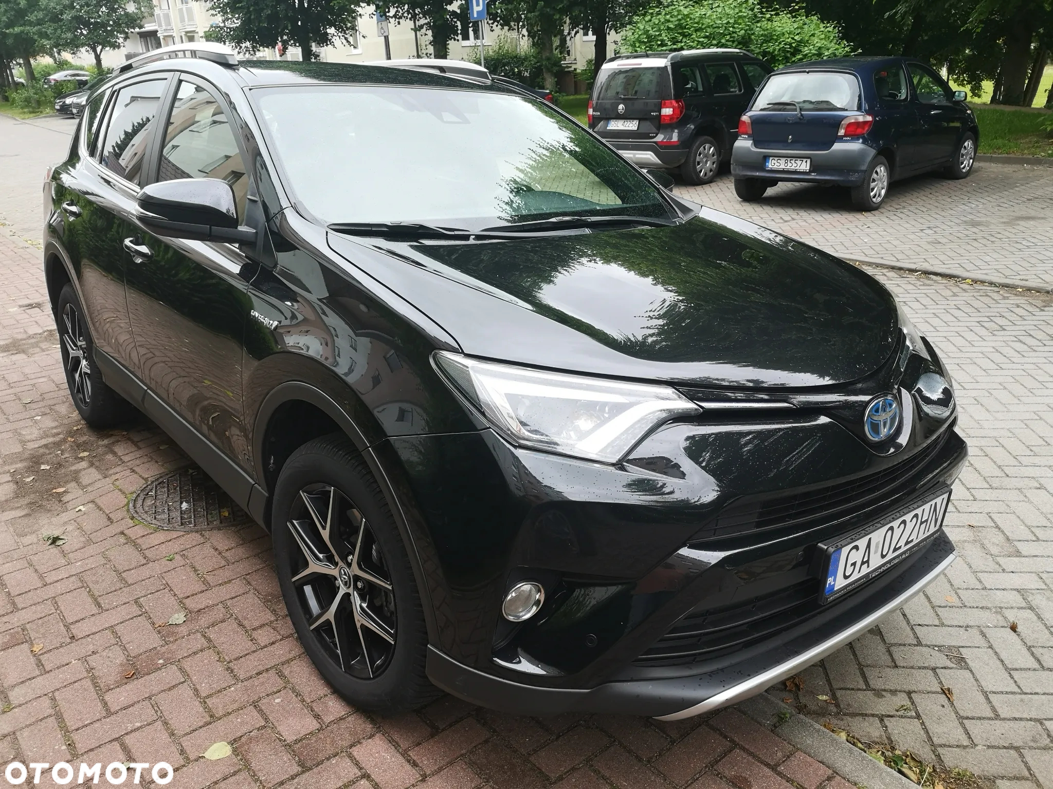 Toyota RAV4 Hybrid Platinum 4x2 - 3