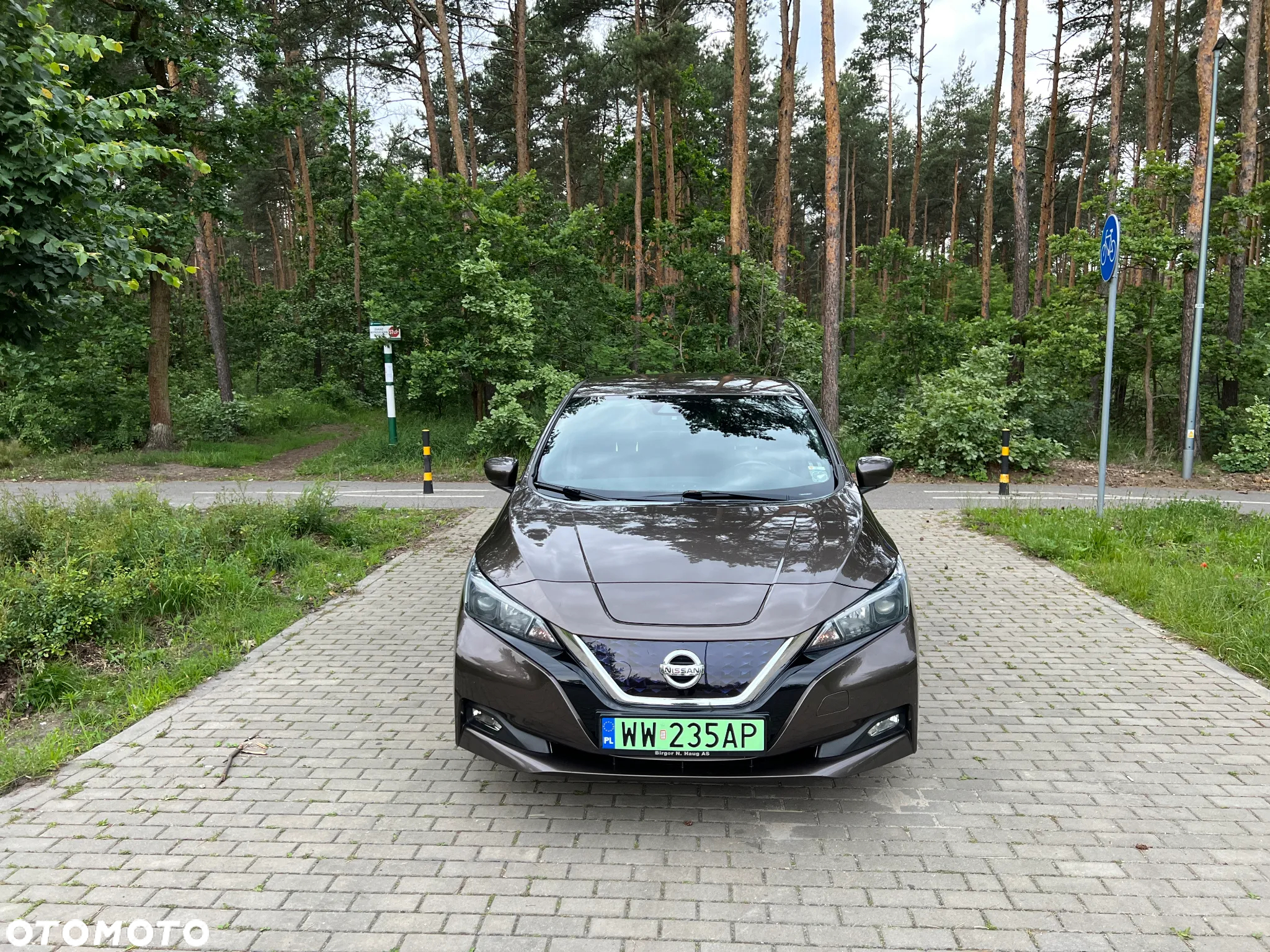 Nissan Leaf 40 kWh - 8