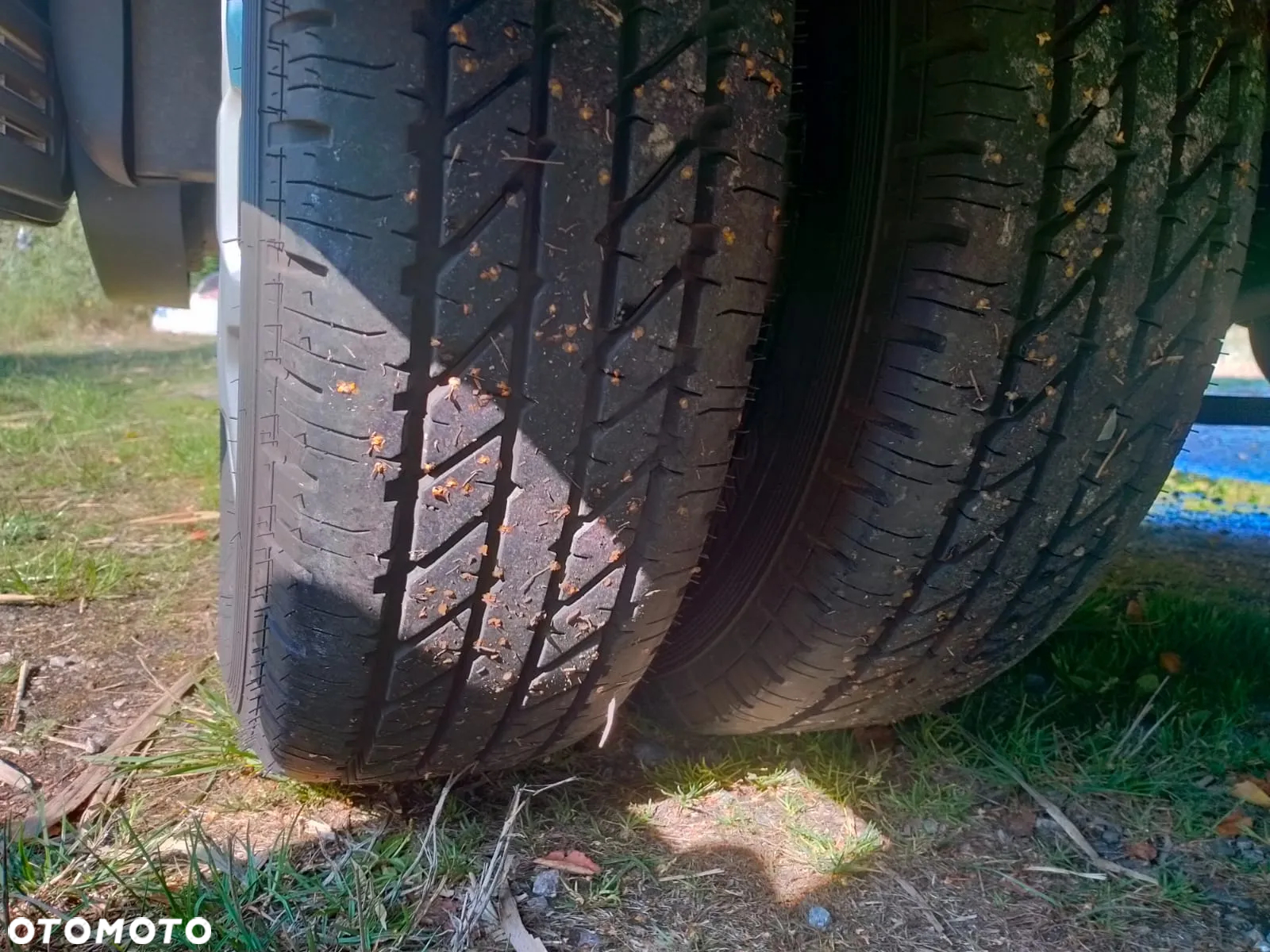 Ford Transit - 5