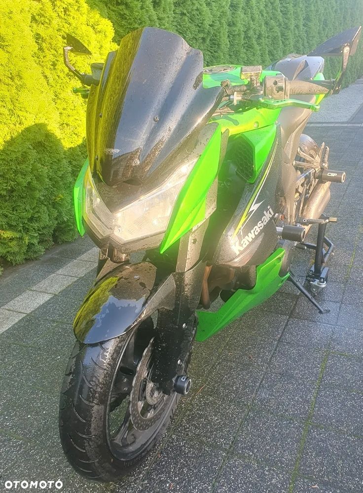 Kawasaki Z - 8