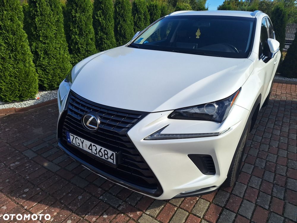 Lexus NX 300 Elegance 2WD - 28