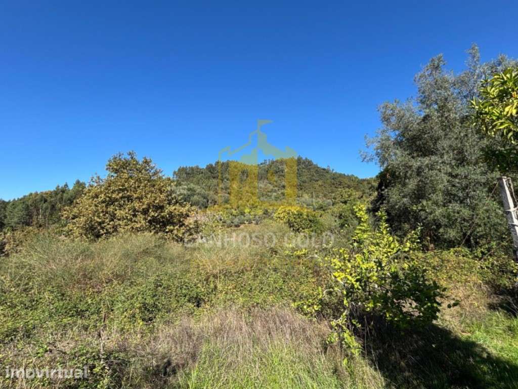 Terreno Agrícola para Venda em Friande, Póvoa de Lanhoso - Grande imagem: 2/16