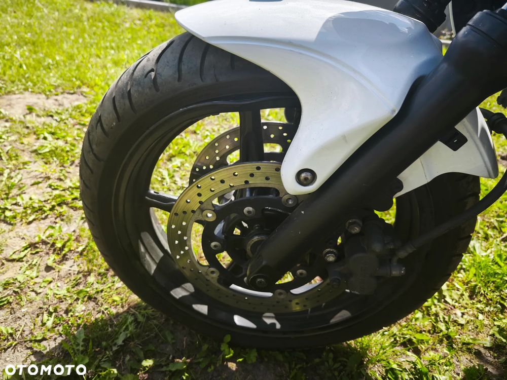 Suzuki Gladius - 11