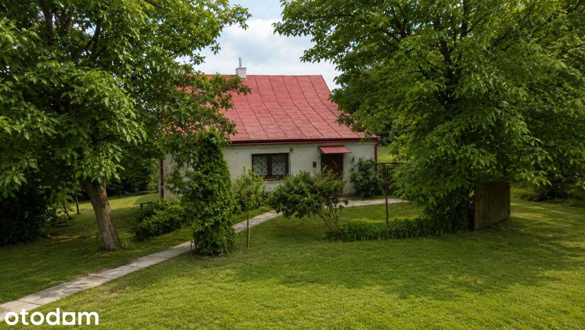 Dom Z Dużą Działką 1 HA | 8 Min DO Sokołowa Młp. - Pełny obrazek: 2/13
