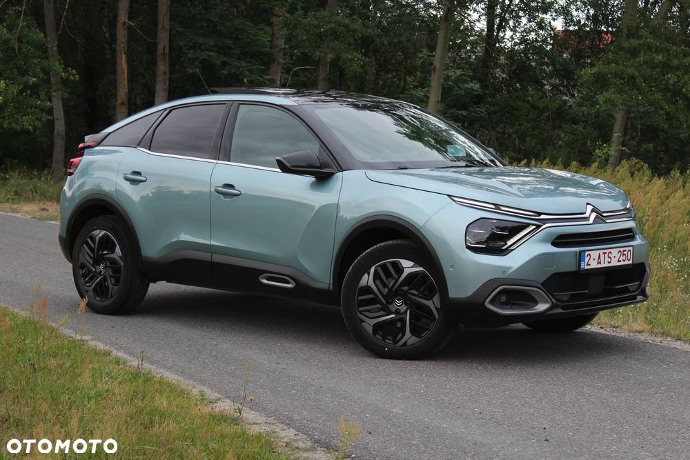 Citroën C4 1.5 BlueHDi Shine S&S - 10