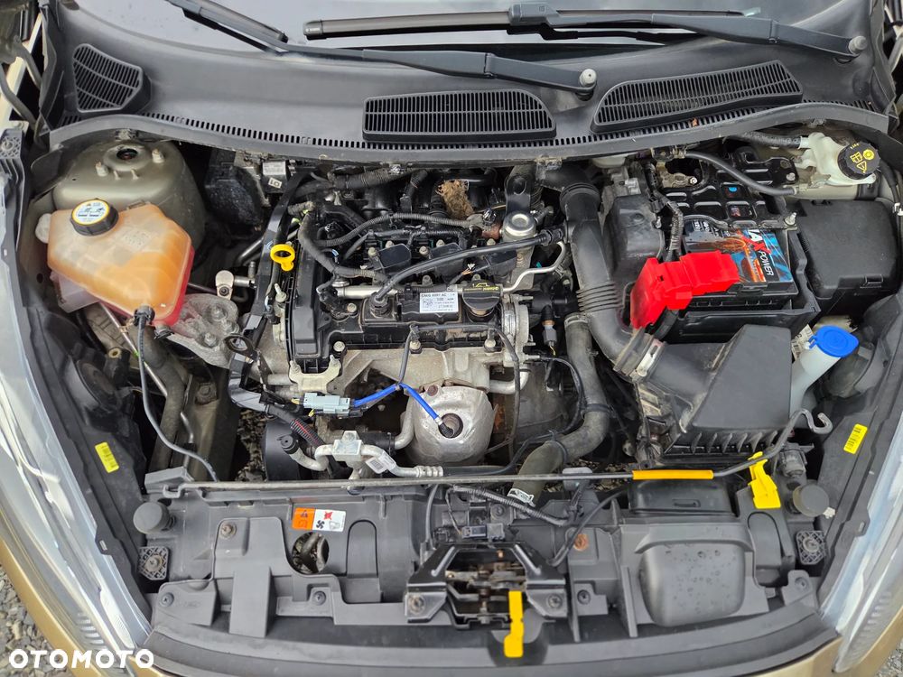 Ford Fiesta 1.0 Champions Edition - 17