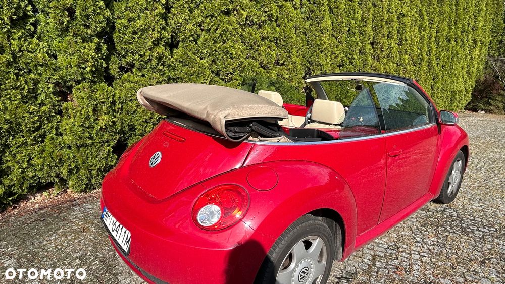 Volkswagen New Beetle - 11