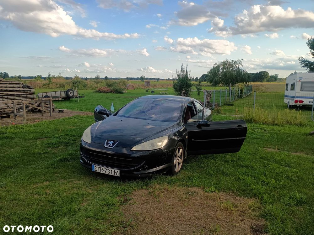 Peugeot 407 - 1