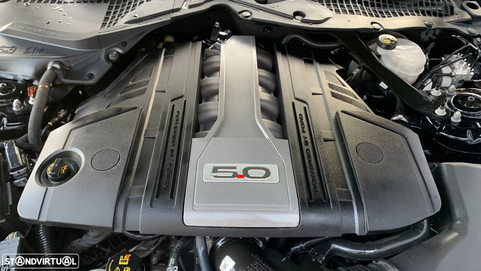 Ford Mustang Convertible 5.0 Ti-VCT V8 Aut. GT - 33