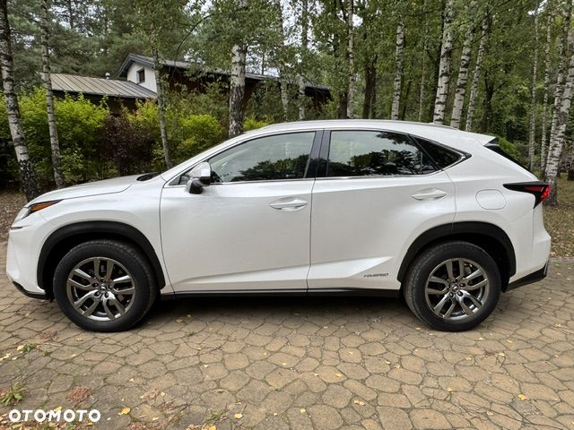 Lexus NX 300h Elegance Optimum AWD - 2