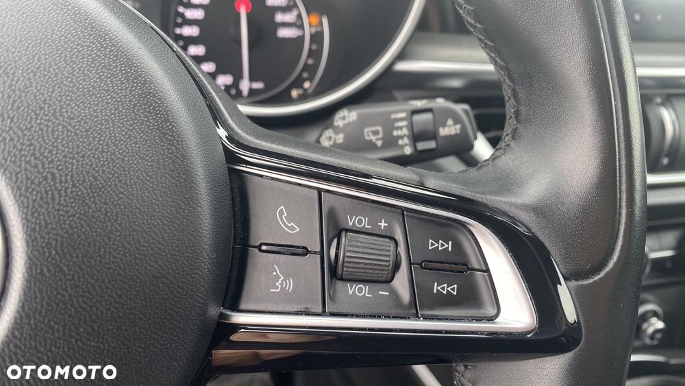 Alfa Romeo Stelvio 2.0 Turbo TI Q4 - 21