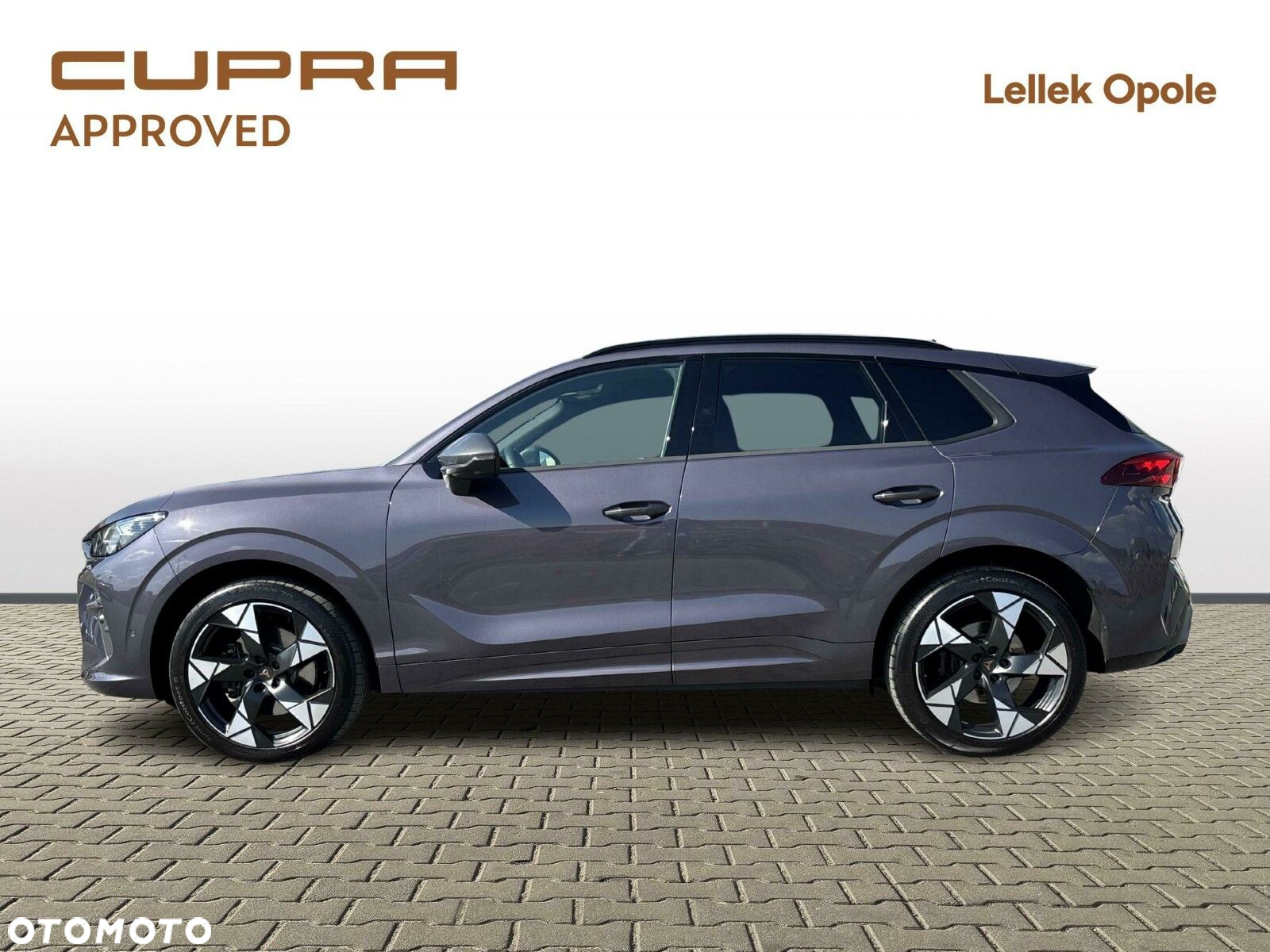 Cupra Terramar 2.0 TSI 4Drive VZ DSG - 2