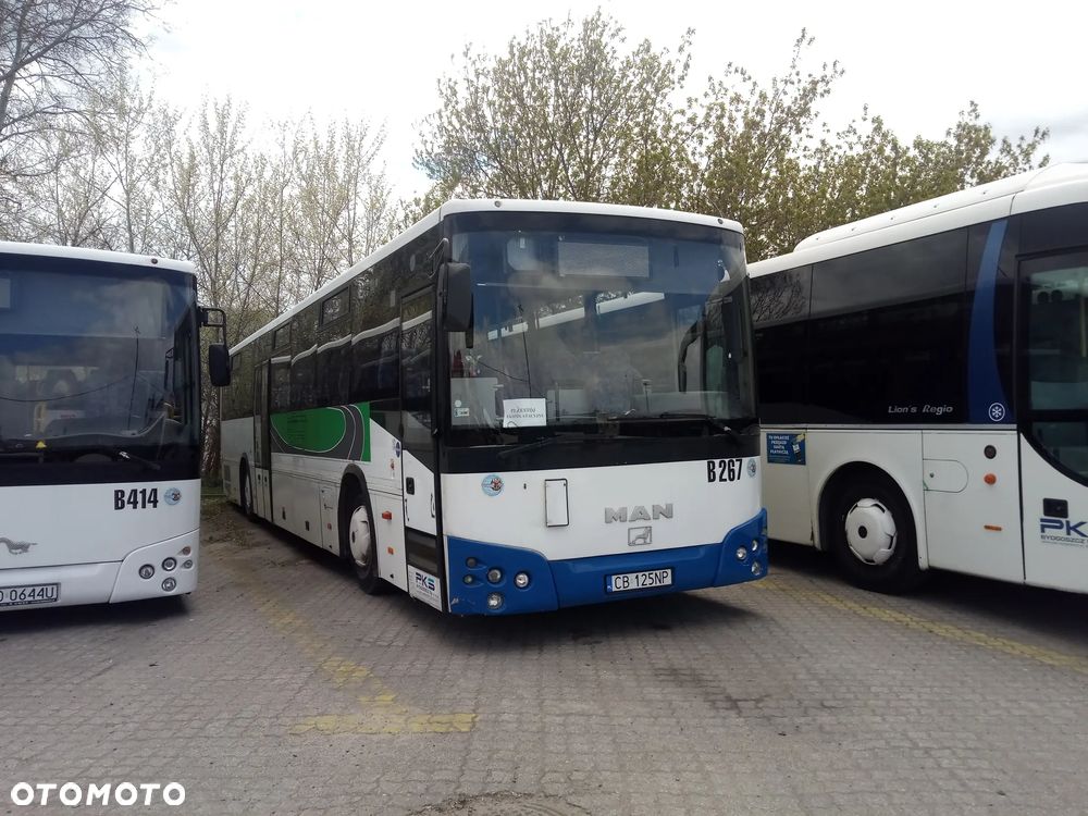 Temsa Tourmalin Light 13 - 1
