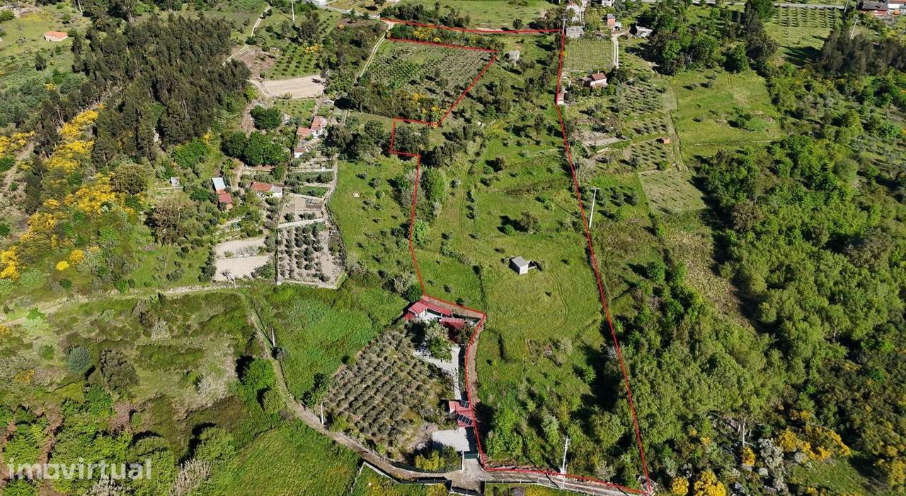 Terreno de cultivo com 1.5 hectares e vistas para a Serra do Açor - Grande imagem: 3/18