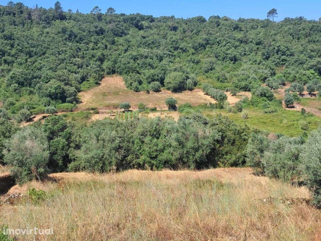 Moradias em Pedra com Anexo e Terreno - Jamprestes, Ferreira do Zêzere - Grande imagem: 3/26