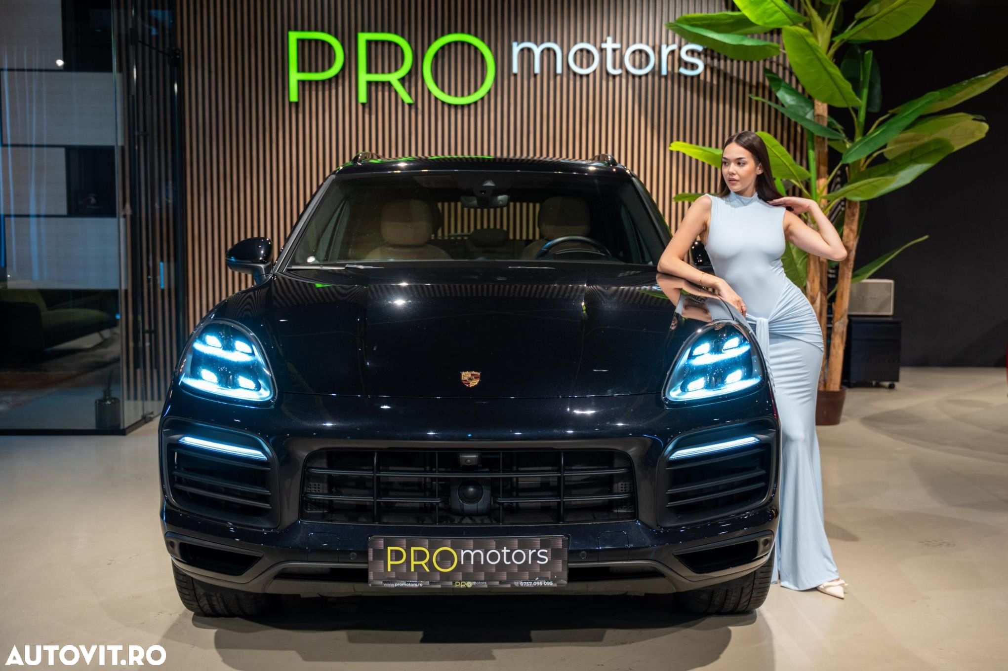 Porsche Cayenne Standard - 14