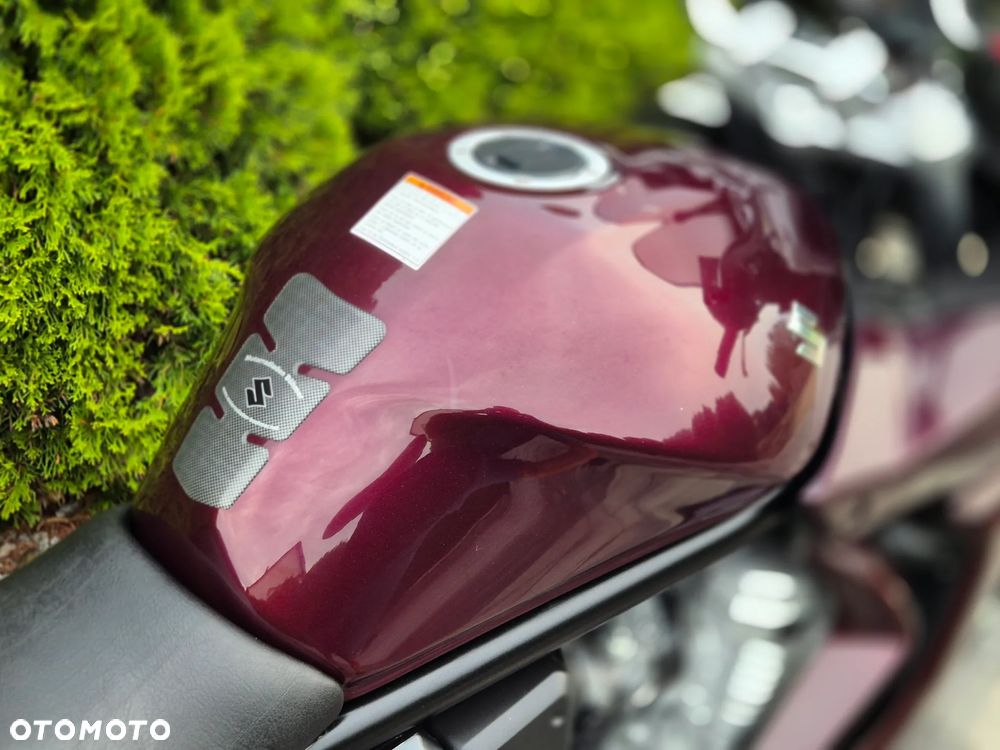 Suzuki Bandit - 12