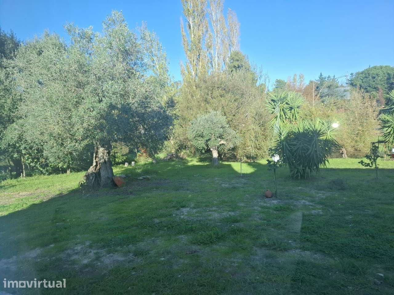 Quinta dos Seus Sonhos Onde a Natureza Fala Mais Alto Palmela -... - Grande imagem: 2/60