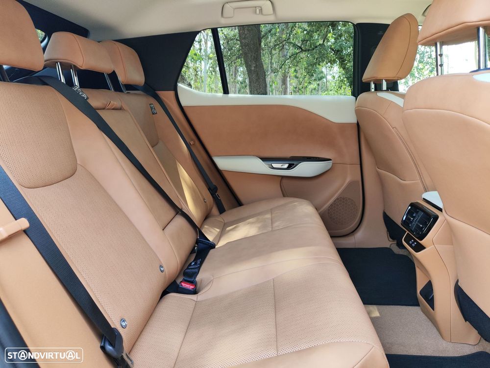 Lexus RZ 300e Luxury - 15