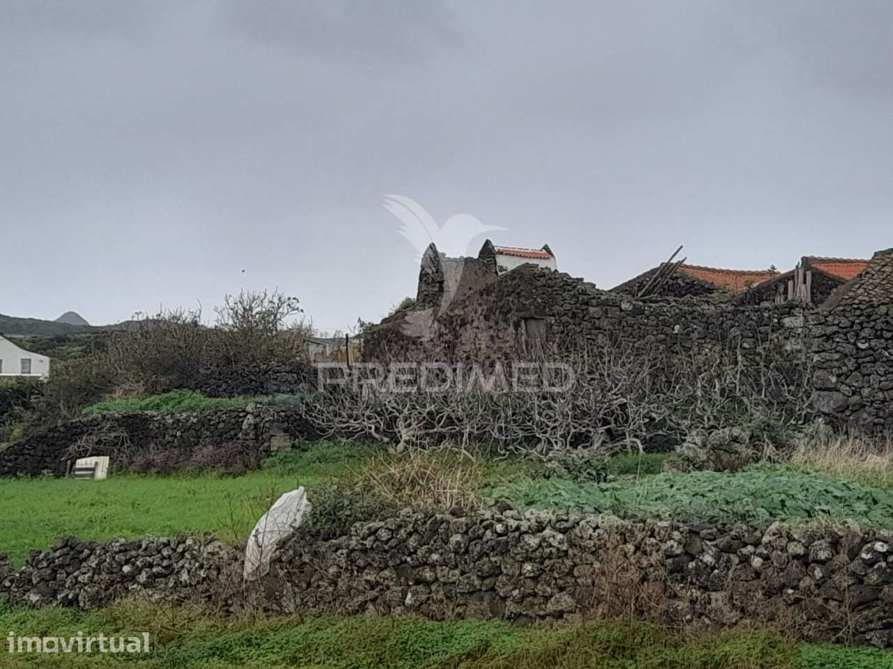 Ruina - Santa Cruz da Graciosa - Grande imagem: 2/4