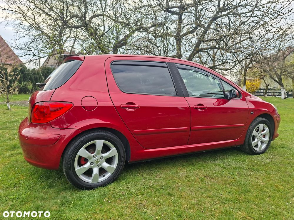 Peugeot 307 140 Sport - 2