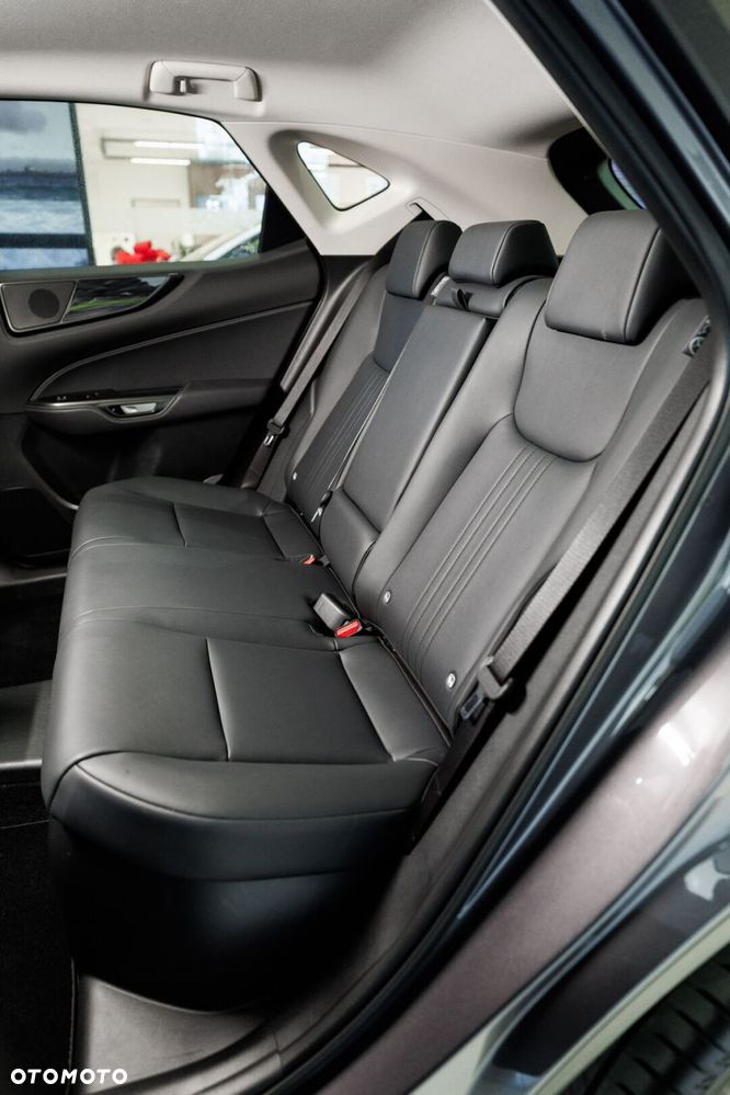 Lexus NX - 20