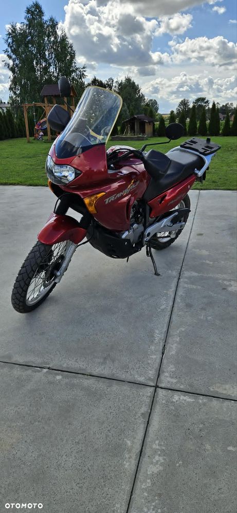 Honda Transalp - 6