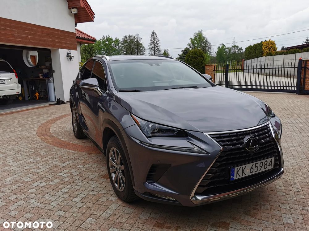 Lexus NX 300 AWD - 7