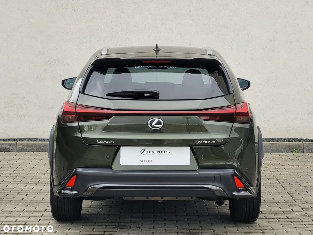 Lexus UX 300h F Sport Design - 9