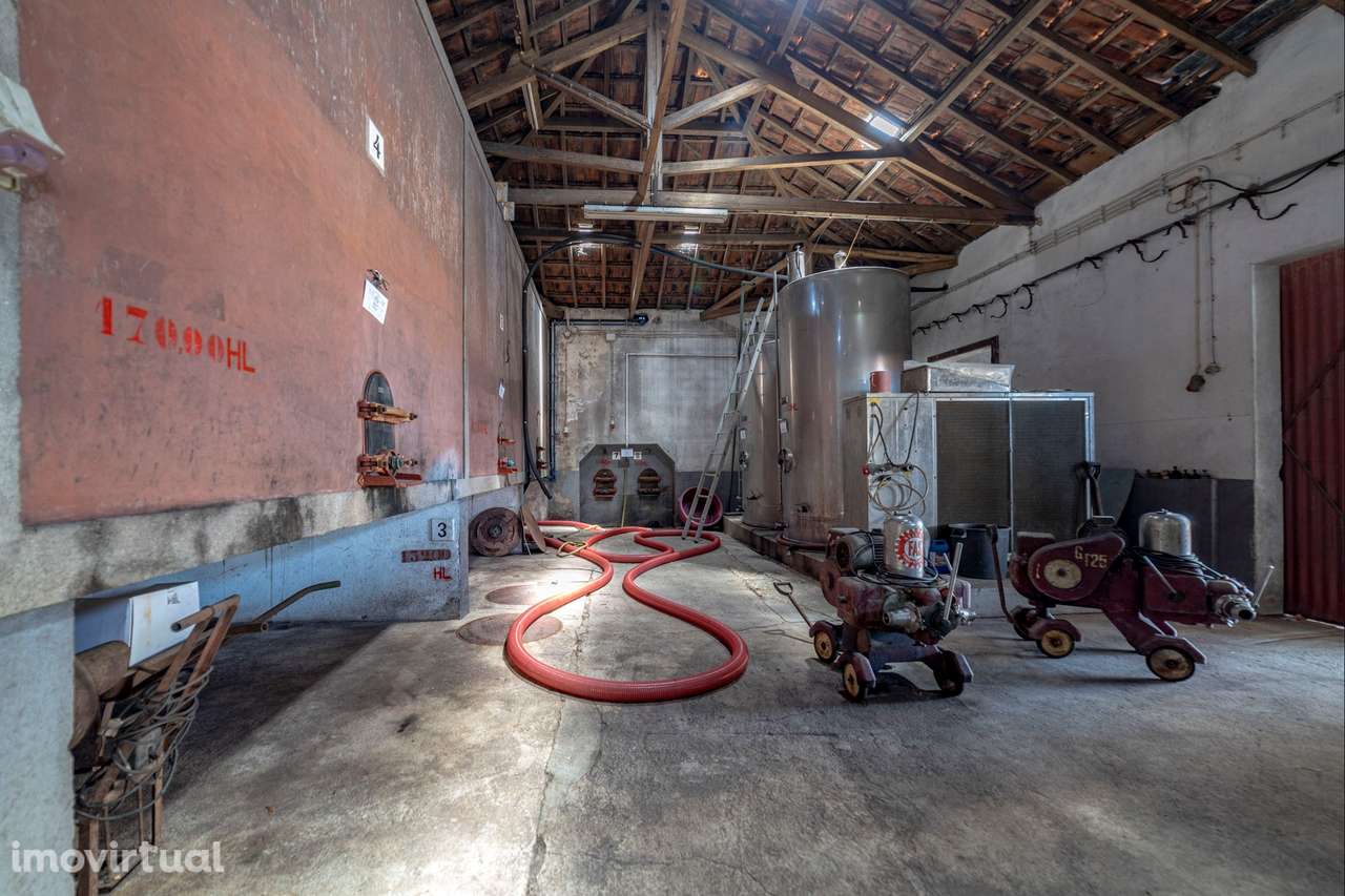 Armazém T1 Venda em Fazendas de Almeirim,Almeirim - Grande imagem: 3/46