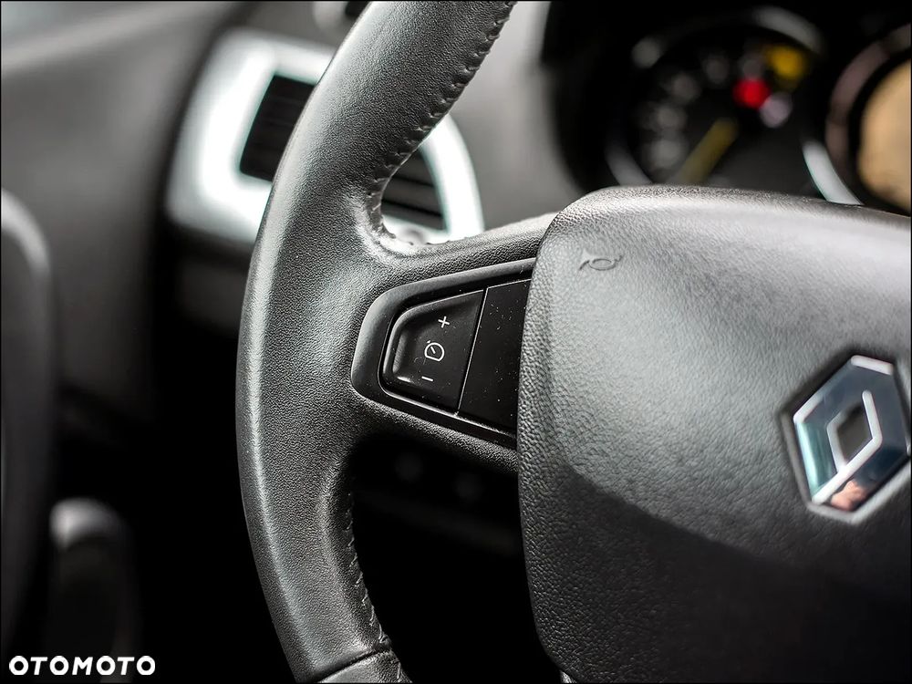 Renault Megane - 22