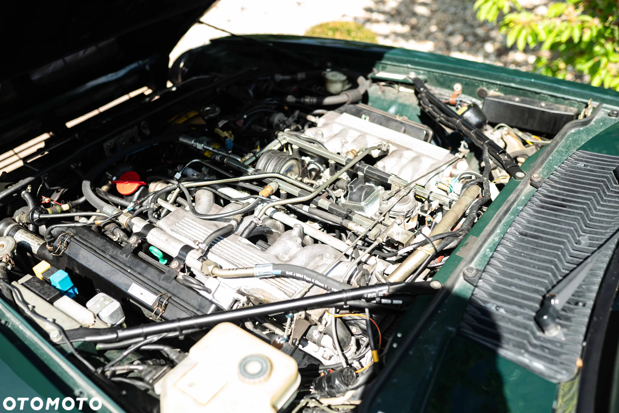 Jaguar XJS - 24