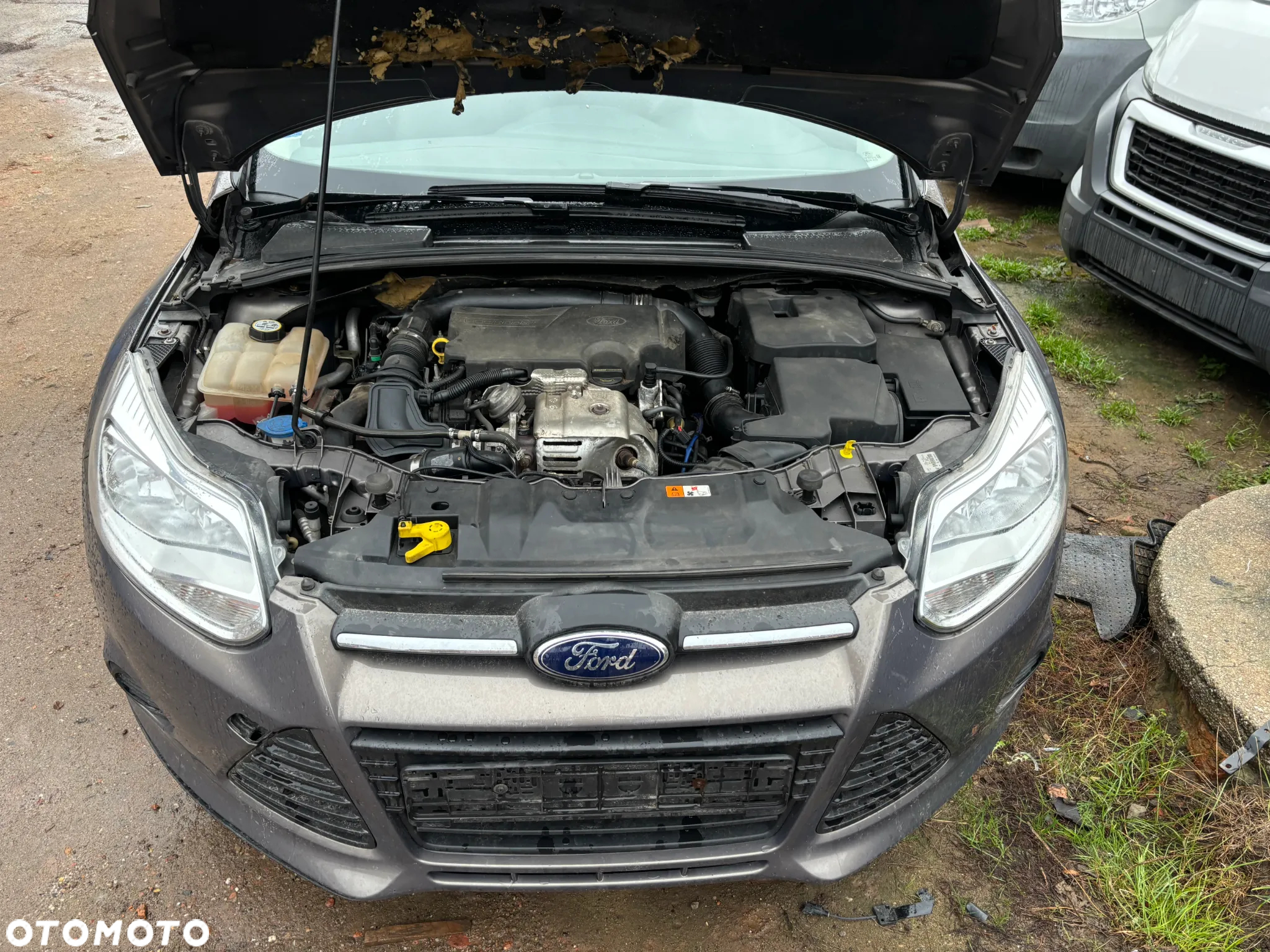 Ford Focus 1.0 EcoBoost 99g Start-Stopp-System Business Edition - 11