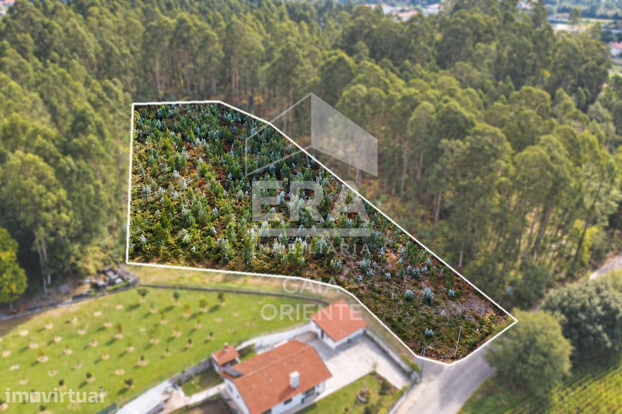 Terreno com Potencial Construtivo