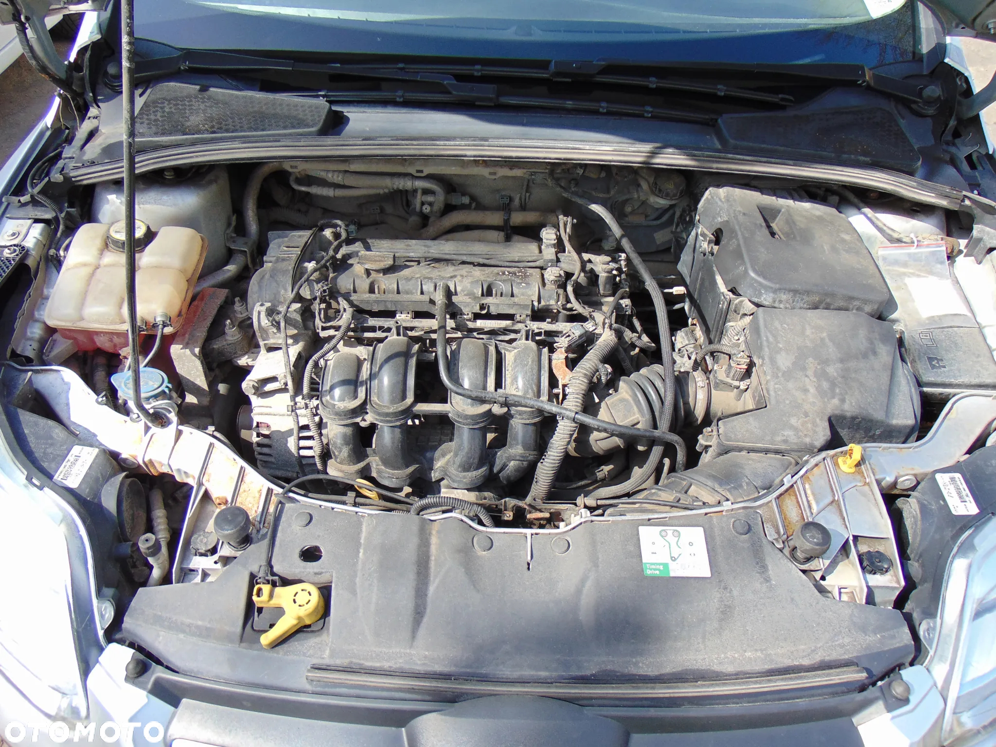 Ford Focus - 14