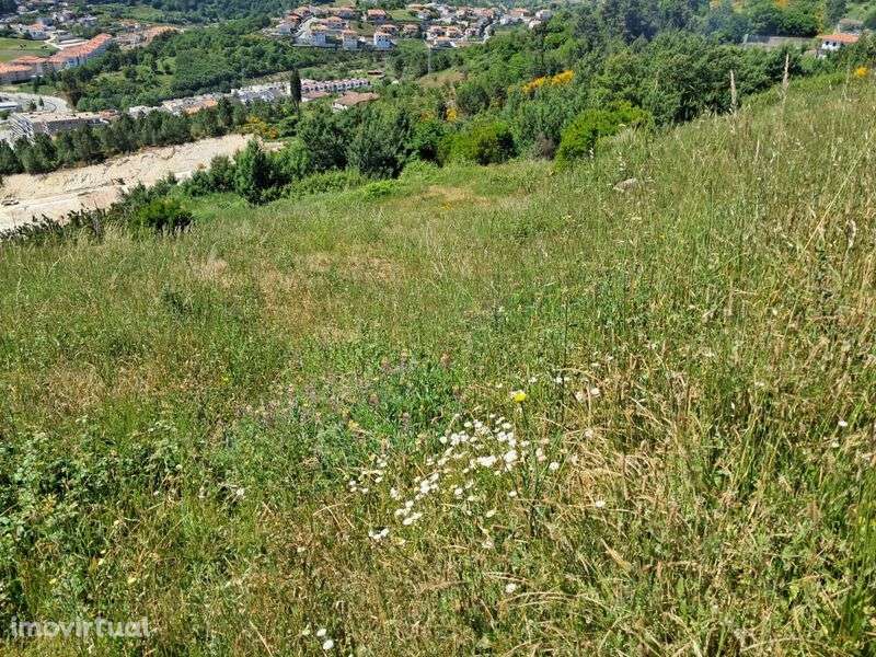 Terreno Serra das Meadas - Lamego - Grande imagem: 5/7
